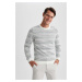 DEFACTO Standard Fit Regular Cut Patterned Crew Neck Knitwear Sweater