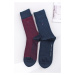Pánske bordovo-modré ponožky Birdeye - dvojbalenie