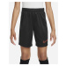 Šortky Nike Dri-FIT Academy 23 Short Kids