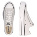 CONVERSE Nízke tenisky 'CHUCK TAYLOR ALL STAR'  svetlosivá / biela