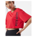 Calvin Klein Performance Funkčné tričko  červená / čierna