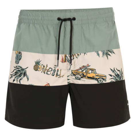 Pánske plavky O'Neill