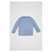 DEFACTO Baby Boy Crew Neck Sweater