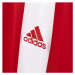 adidas STRIPED 15 JSY JR Chlapčenský futbalový dres, červená, veľkosť