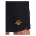 BDG Urban Outfitters Bavlnené šortky 76523299 Čierna Regular Fit