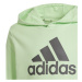 Mikina adidas Big Logo Hoodie Jr IS2591 164 cm