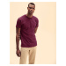 Burgundy Men's Super Premium Fruit of the Loom