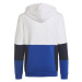 Adidas Colourblock Hoodie Jr HG6826