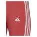 Cyklistické šortky adidas Tight 3-Stripes W HF1862