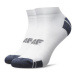 4F Súprava 2 párov členkových pánskych ponožiek 4FSS23USOCM153 Farebná