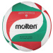 Molten V5M2000 Volleyball