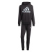 Froté tepláky Adidas Big Logo M IJ8555