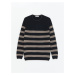 LC Waikiki Crew Neck Long Sleeve Striped Men's Knitwear Sweater