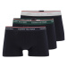 Tommy Hilfiger Underwear Boxerky  tmavomodrá / sivá / zelená / biela