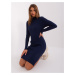 Navy Blue Fitted Knit Dress