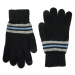 Art Of Polo Man's Gloves Rk22232