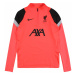 NIKE Funkčné tričko 'Liverpool FC Strike'  sivá / neónovo červená / čierna