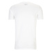 UNDER ARMOUR Funkčné tričko 'ELEVATED CORE'  sivá / čierna / biela