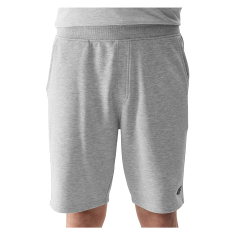 Pánske kraťasy 4F Shorts Cas M284