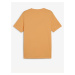 Oranžové pánske tričko Puma Desert Road Graphic Tee
