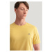 TRIČKO GANT REG SHIELD SS T-SHIRT PARCHMENT YELLOW