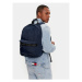 Tommy Jeans Ruksak Tjm Essential Dome Backpack AM0AM11175 Tmavomodrá