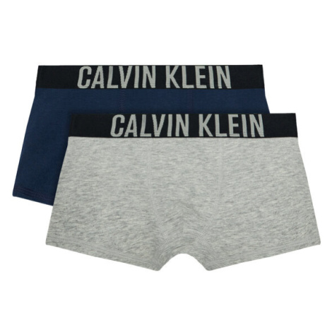 Calvin Klein Underwear Súprava 2 kusov boxeriek B70B700122 D Farebná