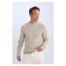 DEFACTO Standard Fit Regular Cut Crew Neck Textured Basic Knitwear Sweater