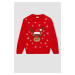 DEFACTO Boy's Christmas Themed Mini Me Crew Neck Knit Sweater