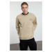 Trendyol Beige Oversize/Wide Cut Vintage/Faded Effect Embroidered Sweatshirt