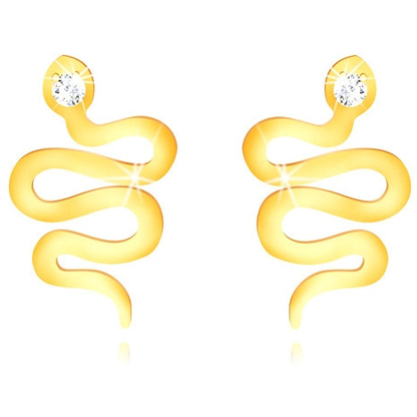 Zlaté 375 puzetové náušnice - zvlnený lesklý hadík so zirkónovou hlavičkou