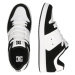 DC Shoes Nízke tenisky 'MANTECA 4'  čierna / biela