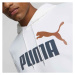 Puma ESS + 2 COL BIG LOGO HOODIE FL B Chlapčenská mikina, biela, veľkosť