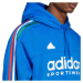 Mikina adidas House of Tiro Nations Pack M IY4532 men