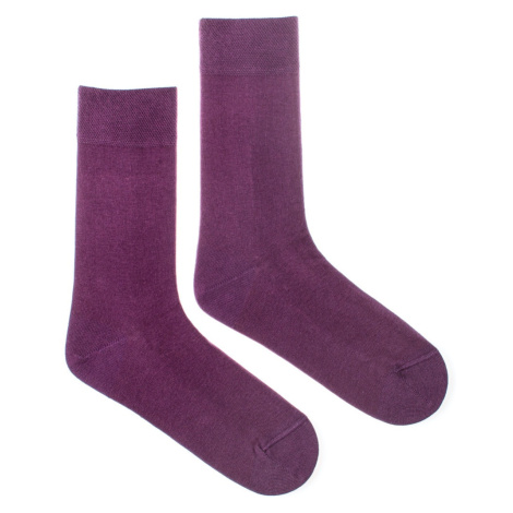 Ponožky Klasik baklažánový Fusakle