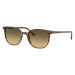 Ray-Ban Elliot RB2197 13920A - L (54)