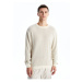 LC Waikiki Crew Neck Long Sleeve Men's Knitwear Sweater