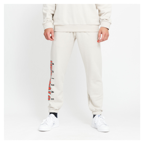 Pánske tepláky Adidas