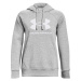 Under Armour RIVAL FLEECE BIG LOGO Dámska mikina, sivá, veľkosť