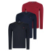 TRIPLE SET T8587 DEWBERRY V-NECK MEN'S SWEATSHIRT-BLACK-NAVY-BURGUNDY