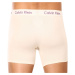 3PACK pánske boxerky Calvin Klein viacfarebné (NB3706A-FZ4)