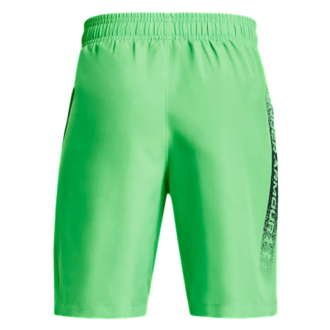 Under Armour UA Woven Graphic Shorts J 1370178-316