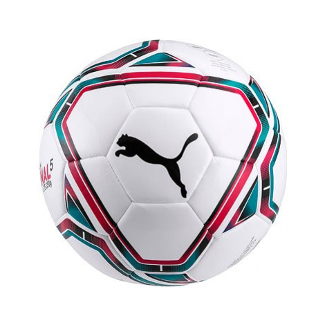 Futbalové lopty Puma