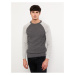 LC Waikiki Crew Neck Long Sleeve Color Block Men's Knitwear Sweater