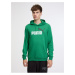 Zelená pánska mikina s kapucňou Puma ESS+ 2 Col Big Logo Hoodie TR