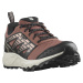 Salomon Wander GTX W