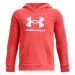 Boys' sweatshirt Under Armour Rival Fleece BL Hoodie