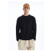 LC Waikiki Crew Neck Long Sleeve Men's Knitwear Sweater