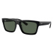 Ray-Ban Warren RB4396 667771 - M (54)