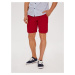 Diverse Men's shorts BERBET VII